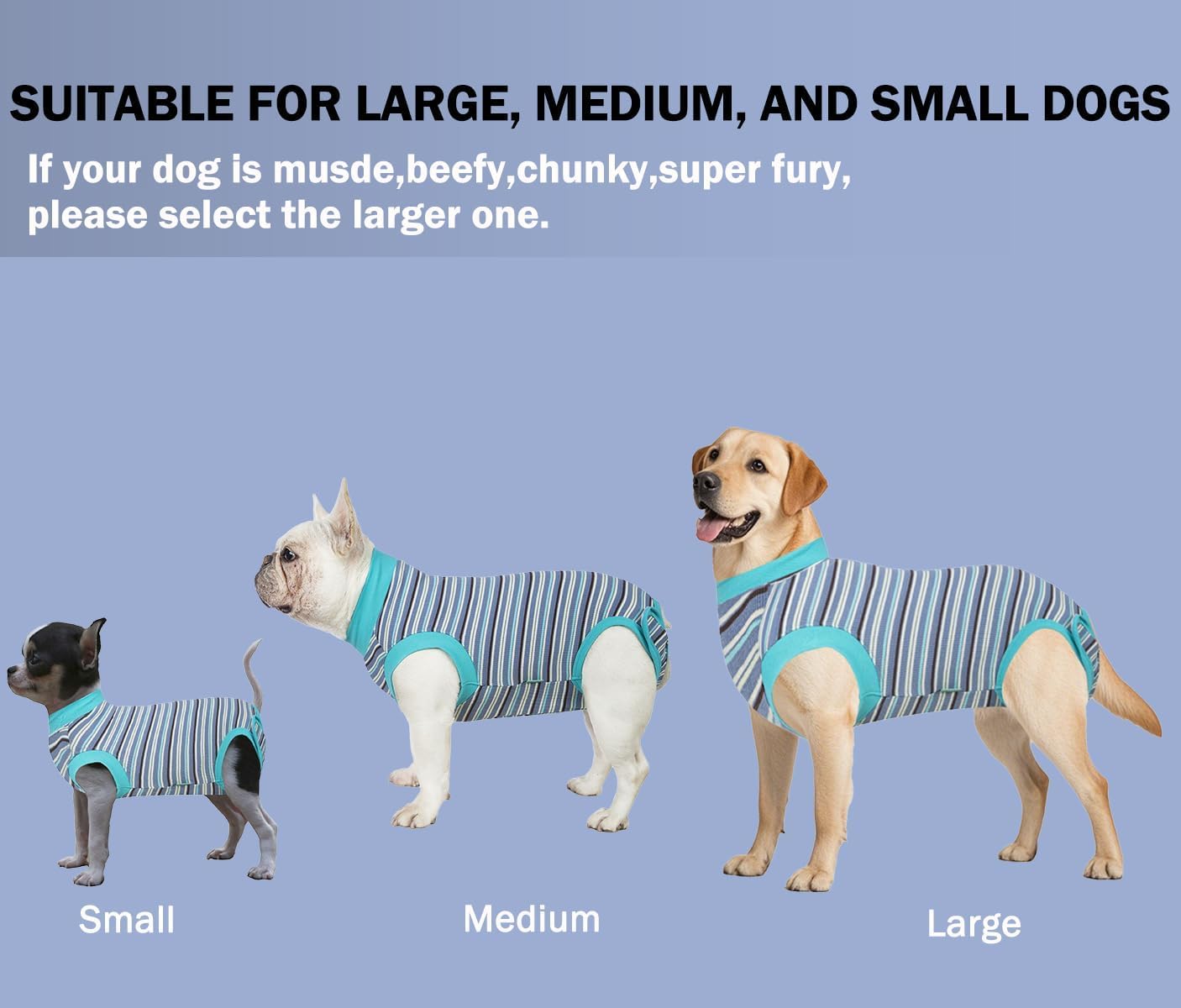 Sebidtco protección de abdomen para perros: ayuda a mantener la zona limpia durante la recuperación.