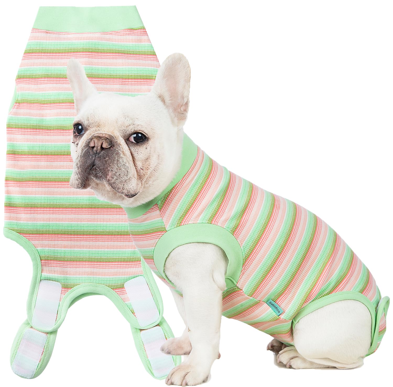 Sebidtco traje de recuperación para perros, frente, protege suturas y evita lamido.