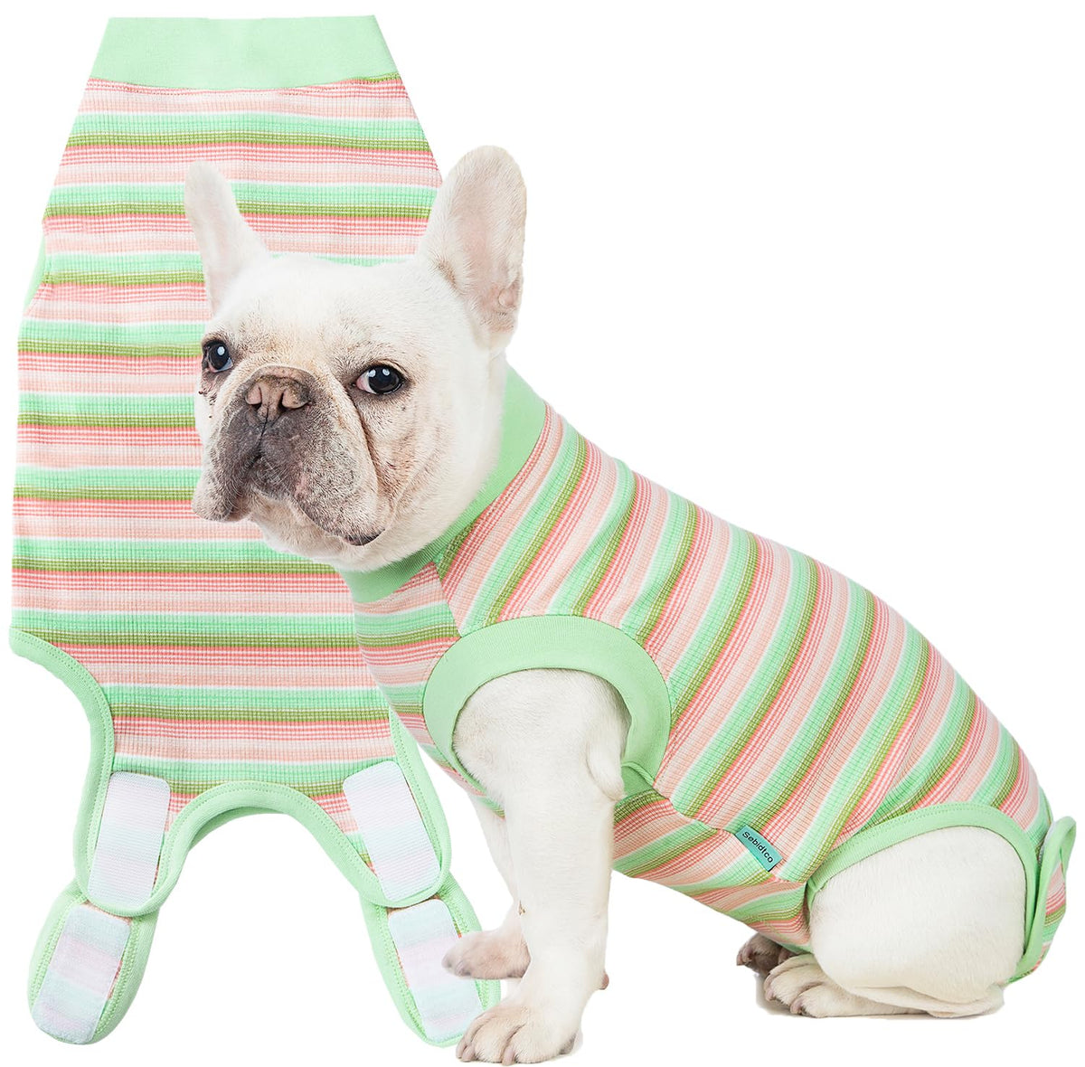 Sebidtco traje de recuperación para perros, frente, protege suturas y evita lamido.