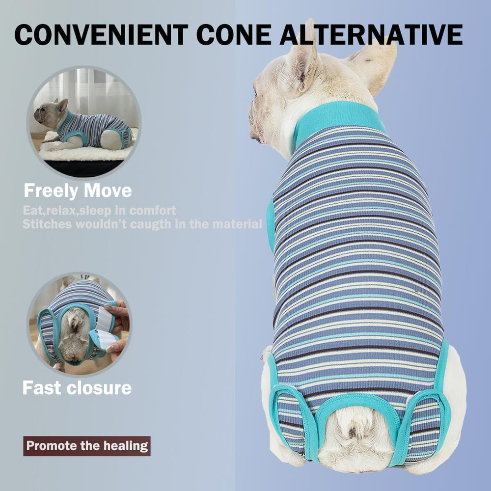 Sebidtco traje recuperación postquirúrgico para perro: movilidad sin irritación.