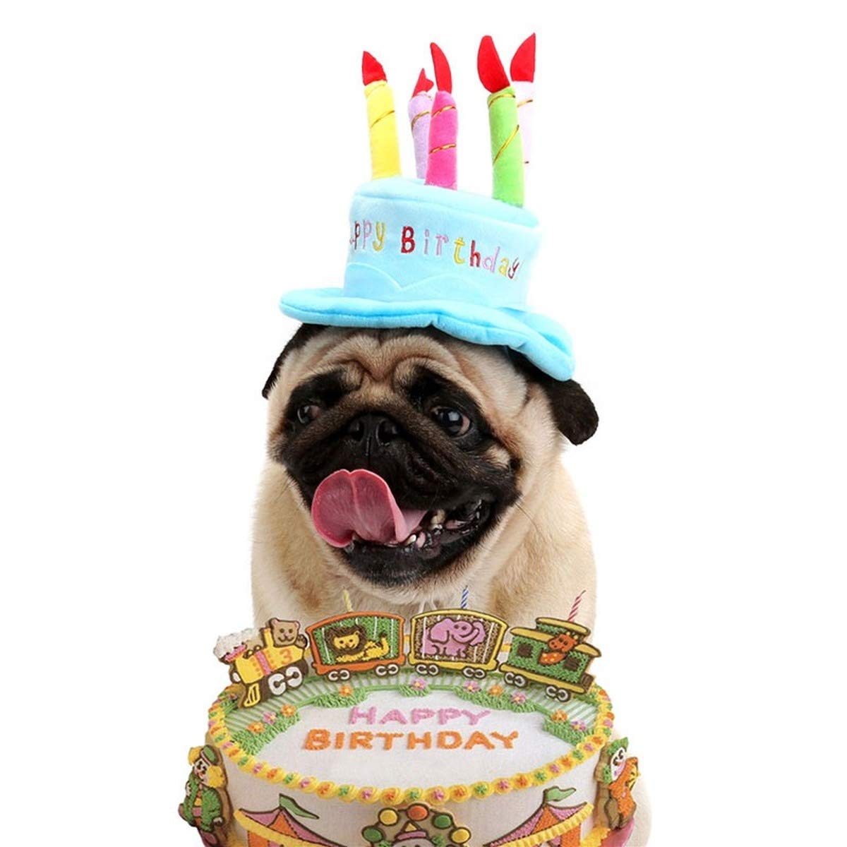 Secfanya sombrero de cumpleaños para gato en azul, accesorio festivo para fotos.