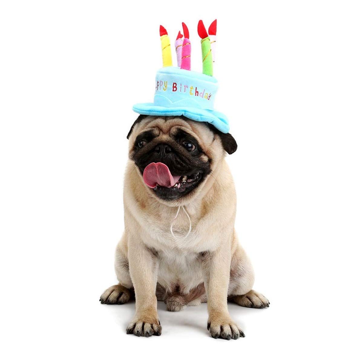 Secfanya sombrero de cumpleaños para perro en azul, ajuste cómodo para fiestas.