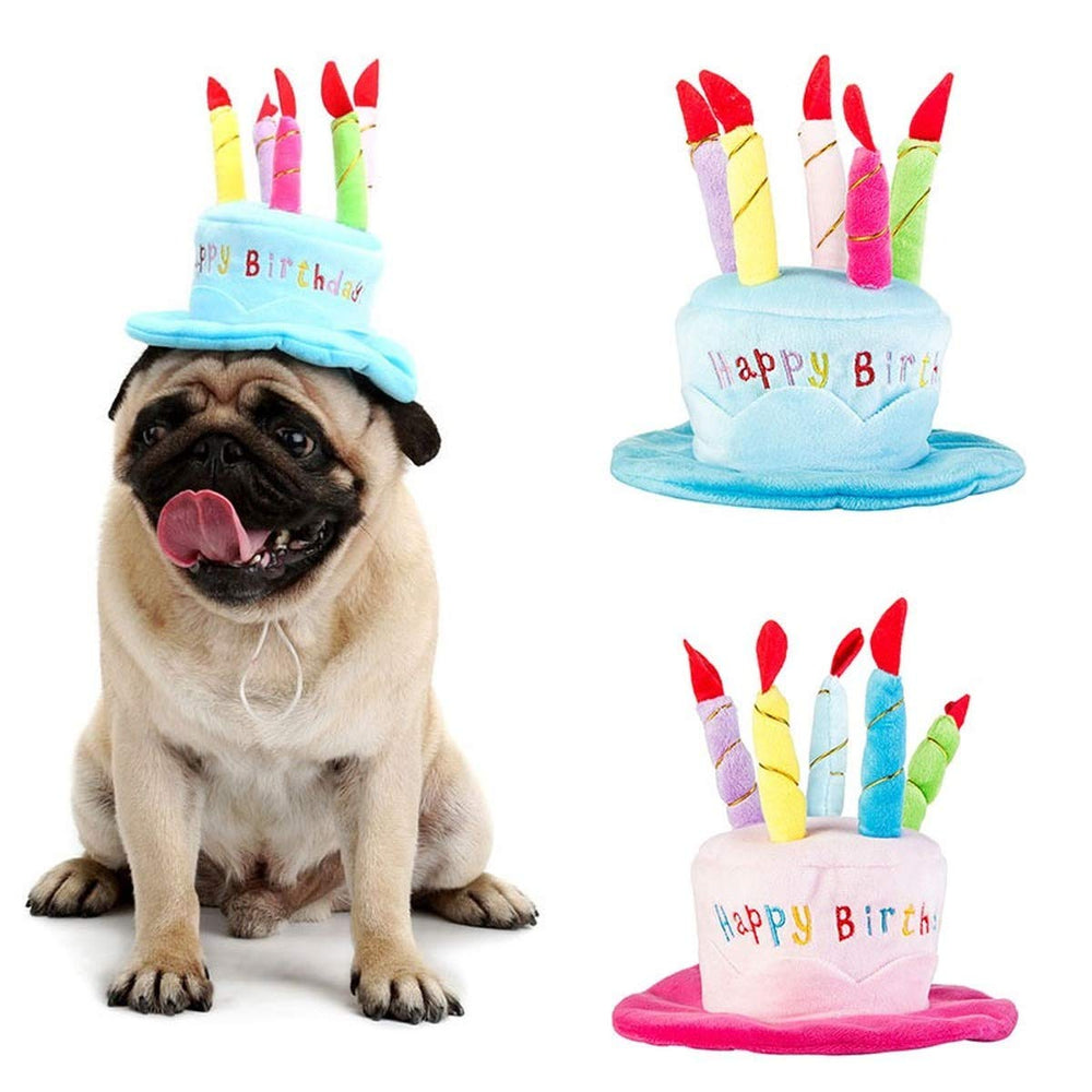 Secfanya sombrero pastel de cumpleaños para perro y gato en azul, ideal para fiestas.