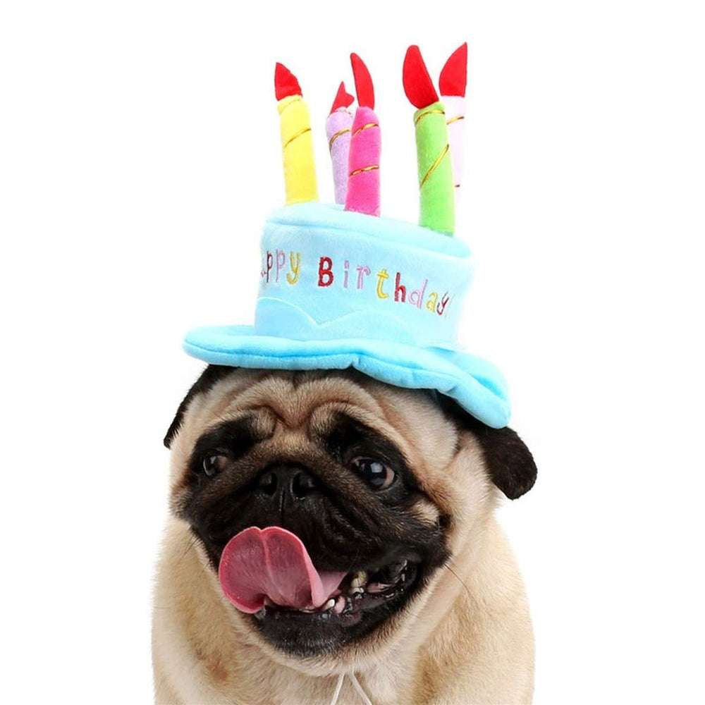 Secfanya sombrero pastel de cumpleaños para perro y gato, velas de colores para fotos divertidas.