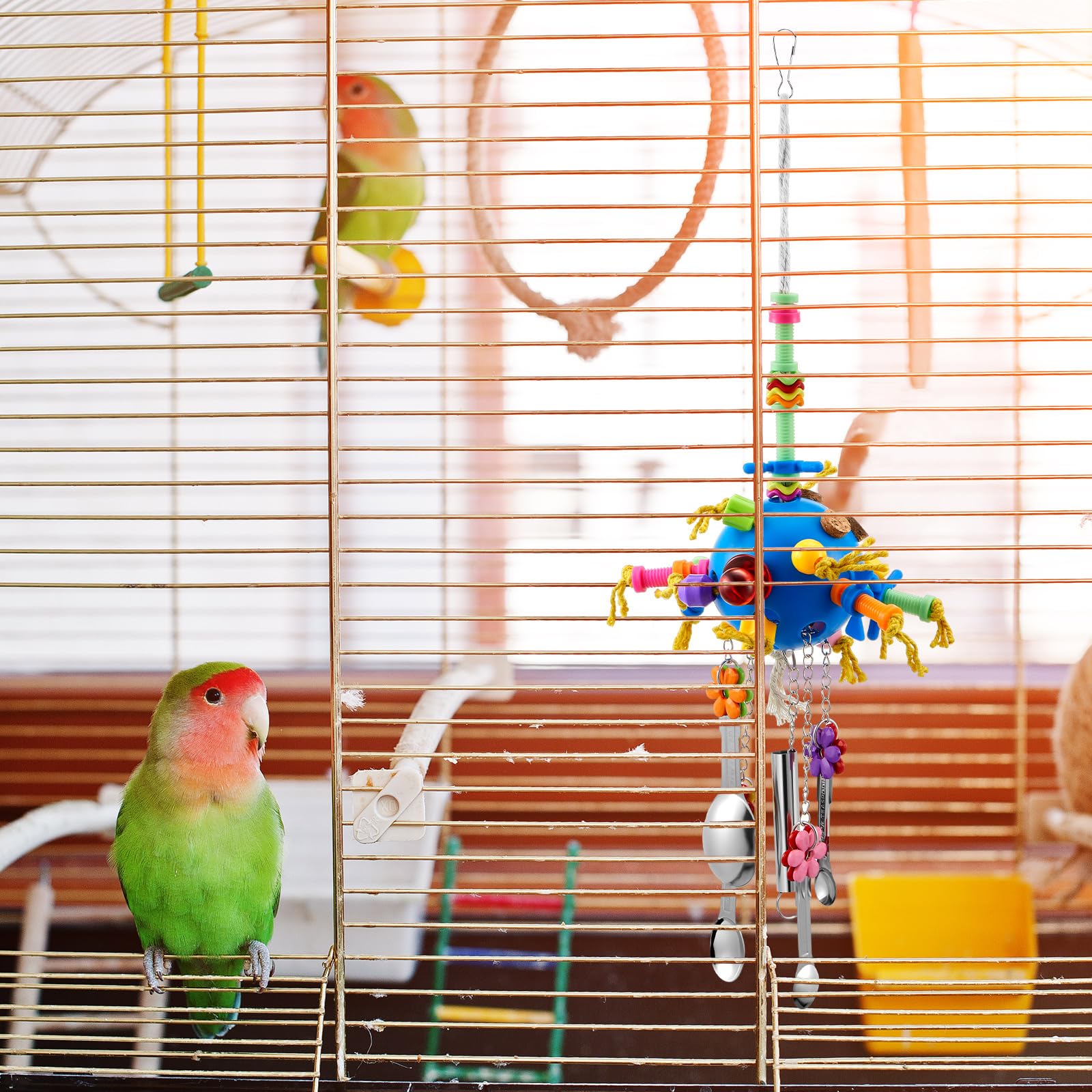 Seenelling diseño artesanal hecho a mano para aves curiosas.