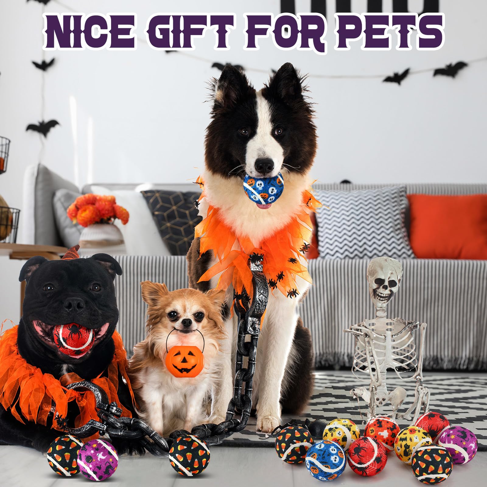 Seenelling regalo ideal para amantes de perros, añade emoción al juego.