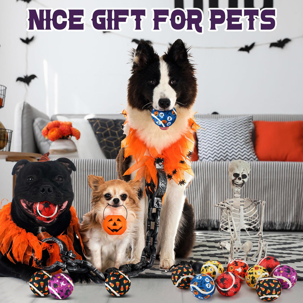 Seenelling regalo ideal para amantes de perros, añade emoción al juego.
