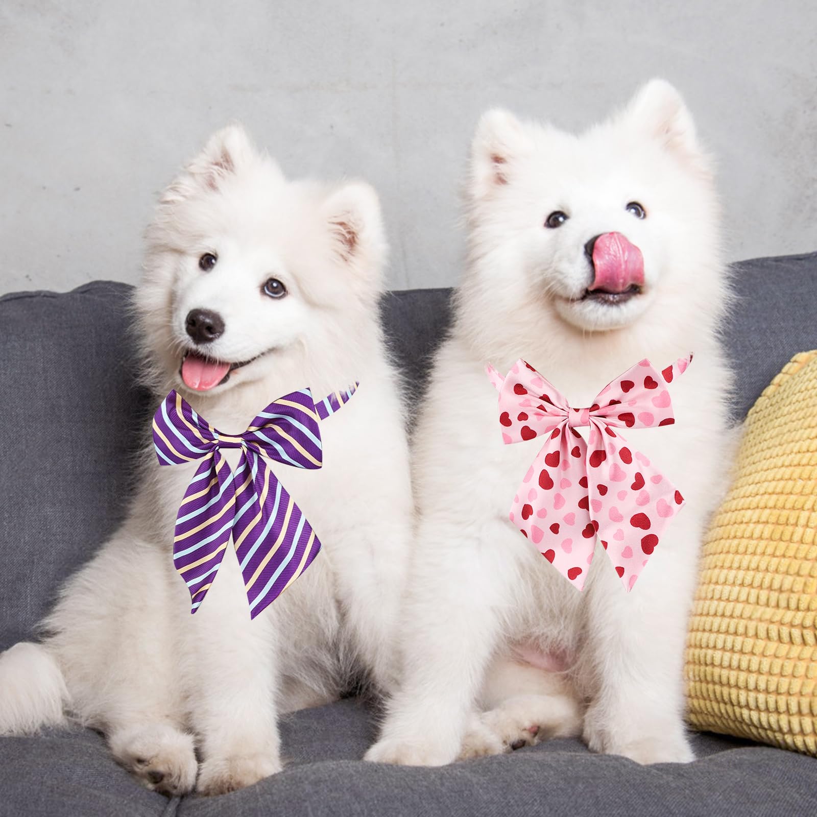 Segarty conjunto de accesorios para cuidado del pelaje de perros medianos y grandes.