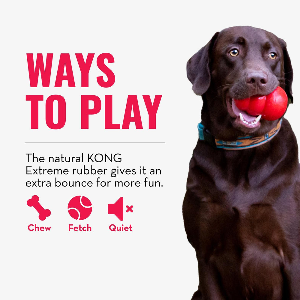 KONG Extremo bola con hueco, segura para juego supervisado.