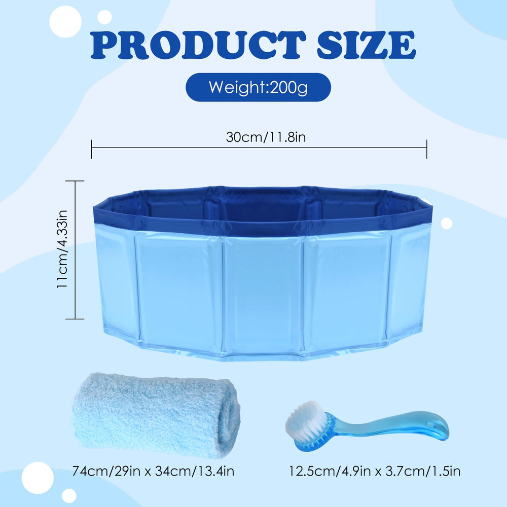 Selacca piscina para dragon barbudo, área amplia para jugar en agua.