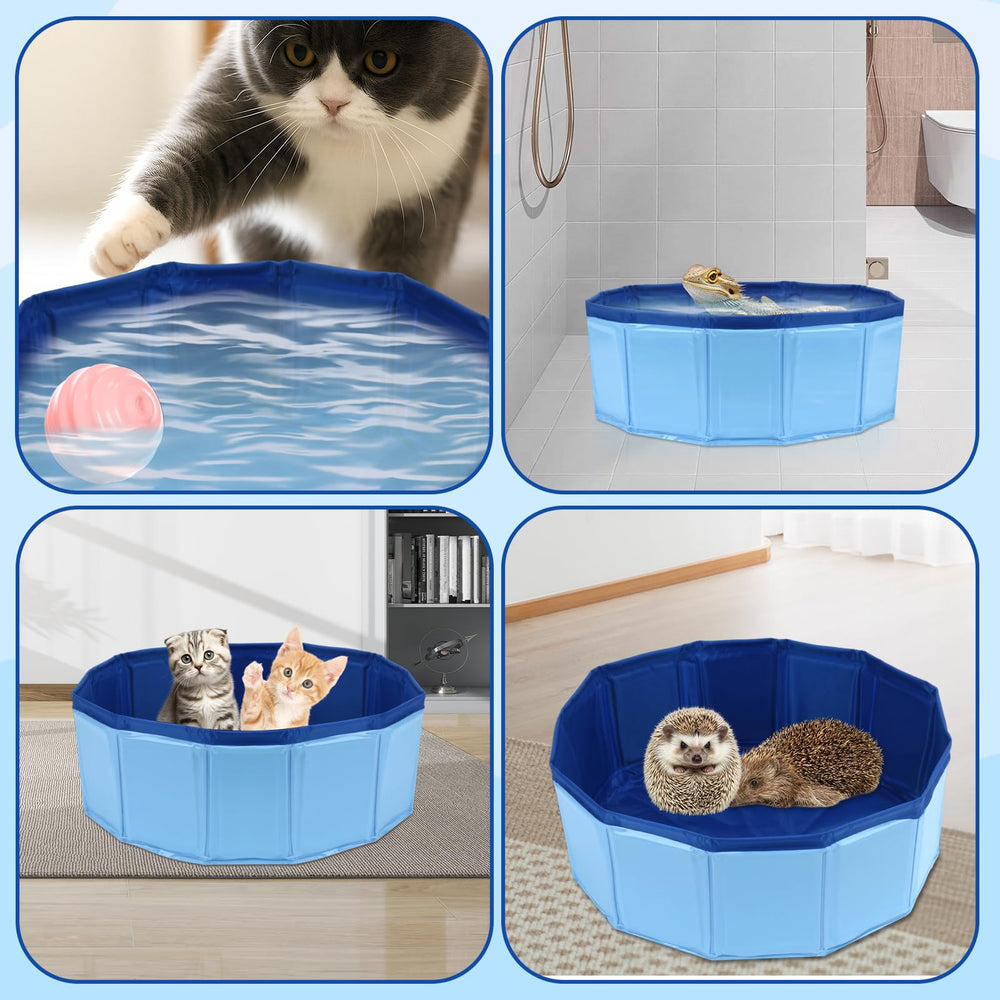 Selacca set de baño para dragon barbudo, experiencia completa de cuidado.