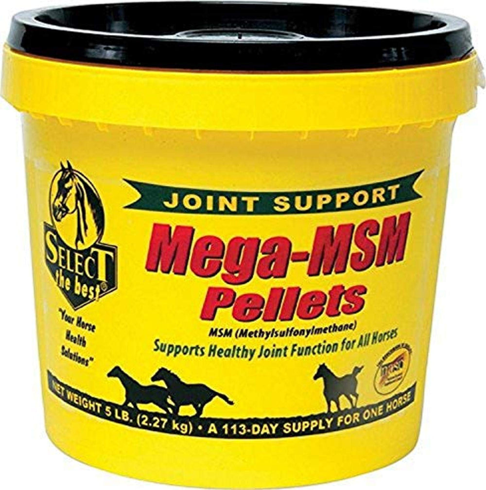 RICHDEL MegaMSM Pellets en envase compacto, fácil almacenamiento en caballerizas