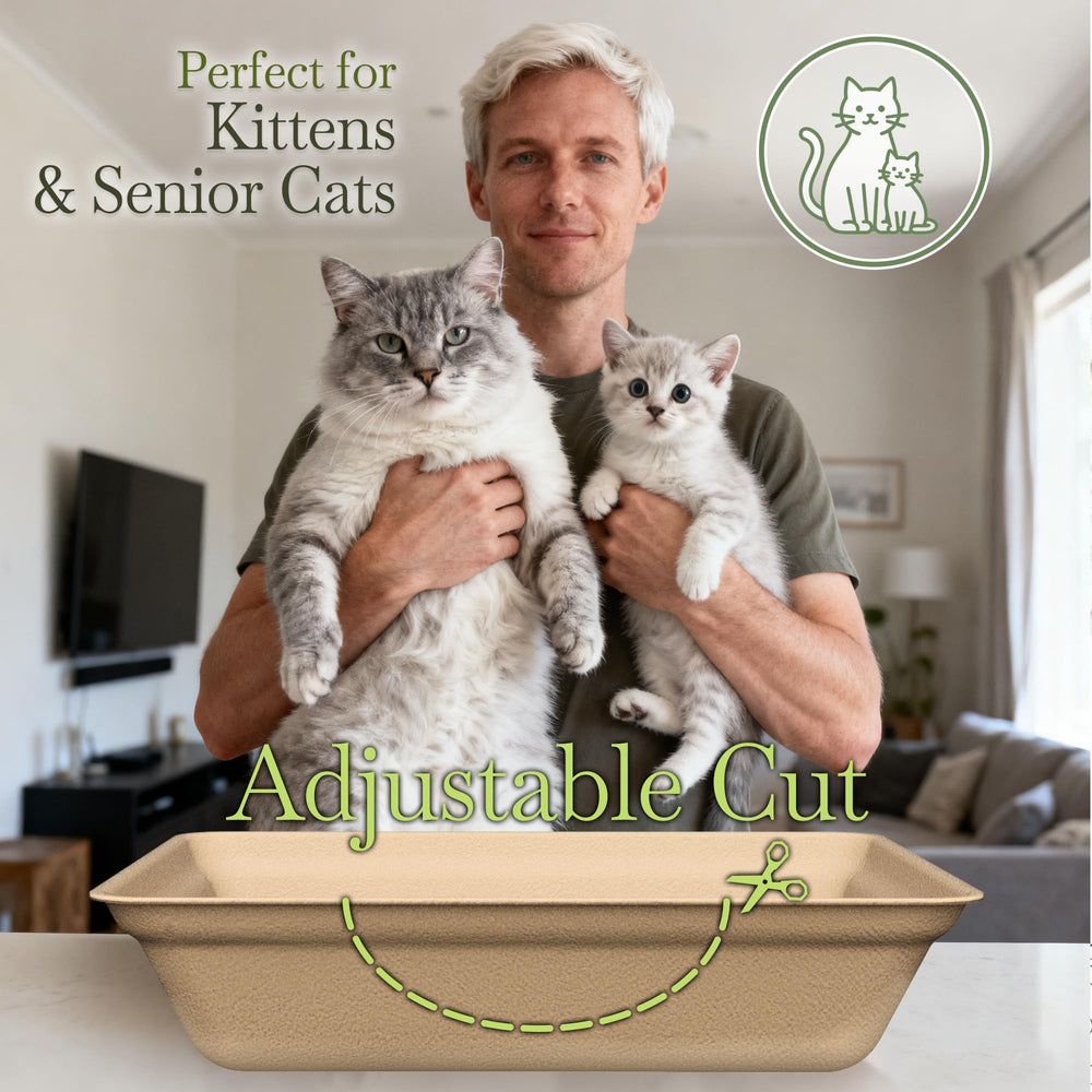 SEMEDOYO solución sostenible y ecológica para gatos y cuidadores.