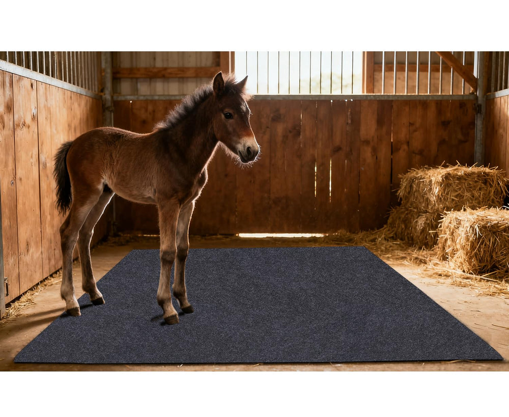 SEMPADA alfombrilla lavable, fácil limpieza para establo y hogar