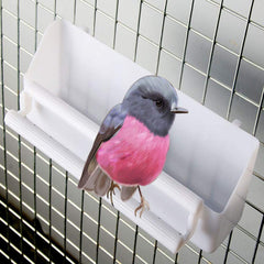 Seneme dosificador de alimento para aves, uso diario en jaula