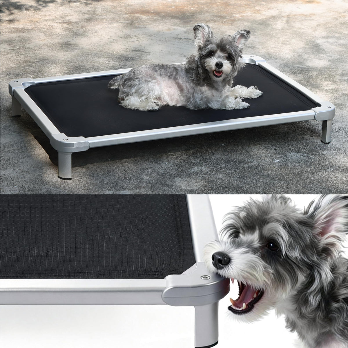 Sennenny cama para perros elevada, diseño indestructible para uso interior y exterior.