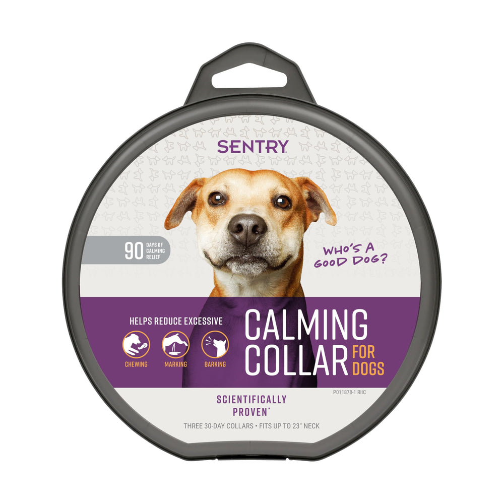 Collar calmante Sentry para perros listo para uso diario en casa