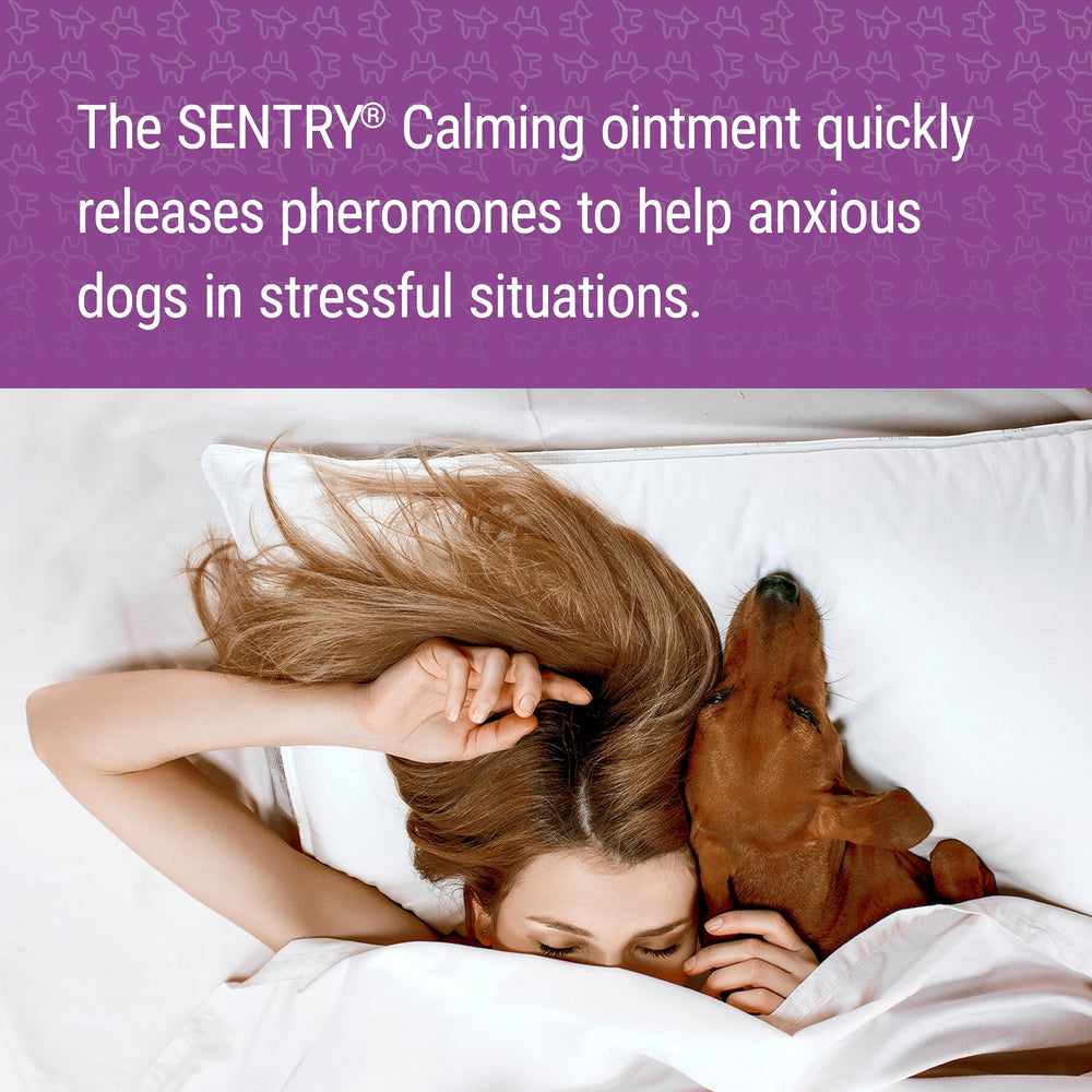SENTRY Unguento Calma para perros: empaque externo claro y facil de usar