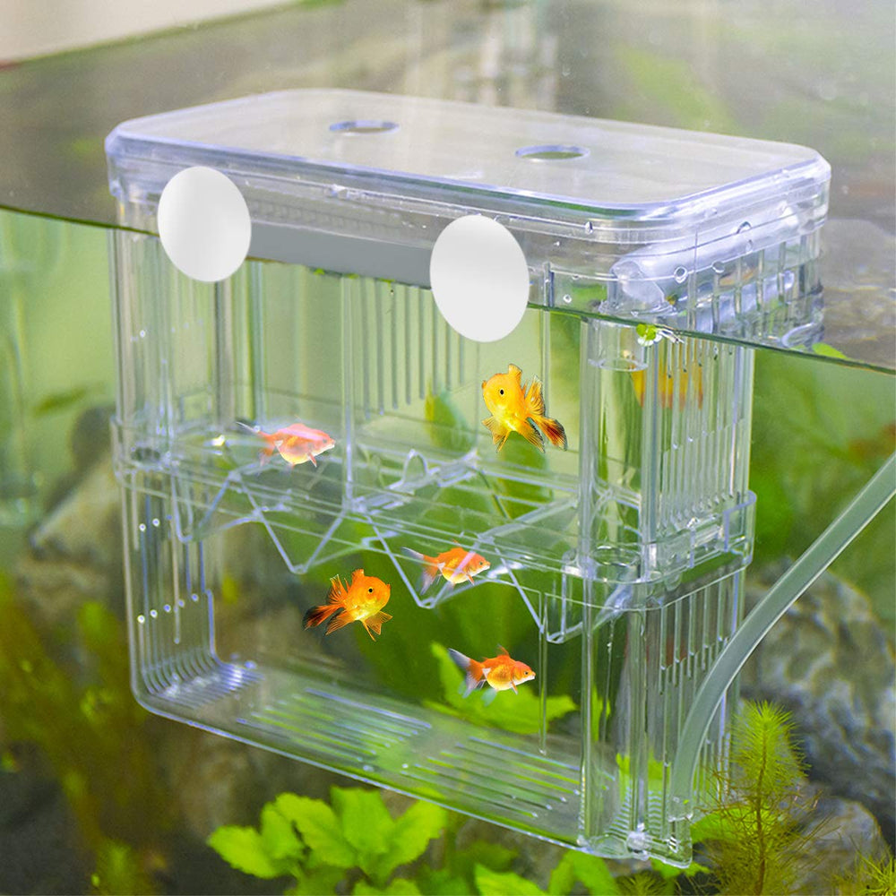 Protege peces heridos y pequeños con el aislamiento Senzeal.