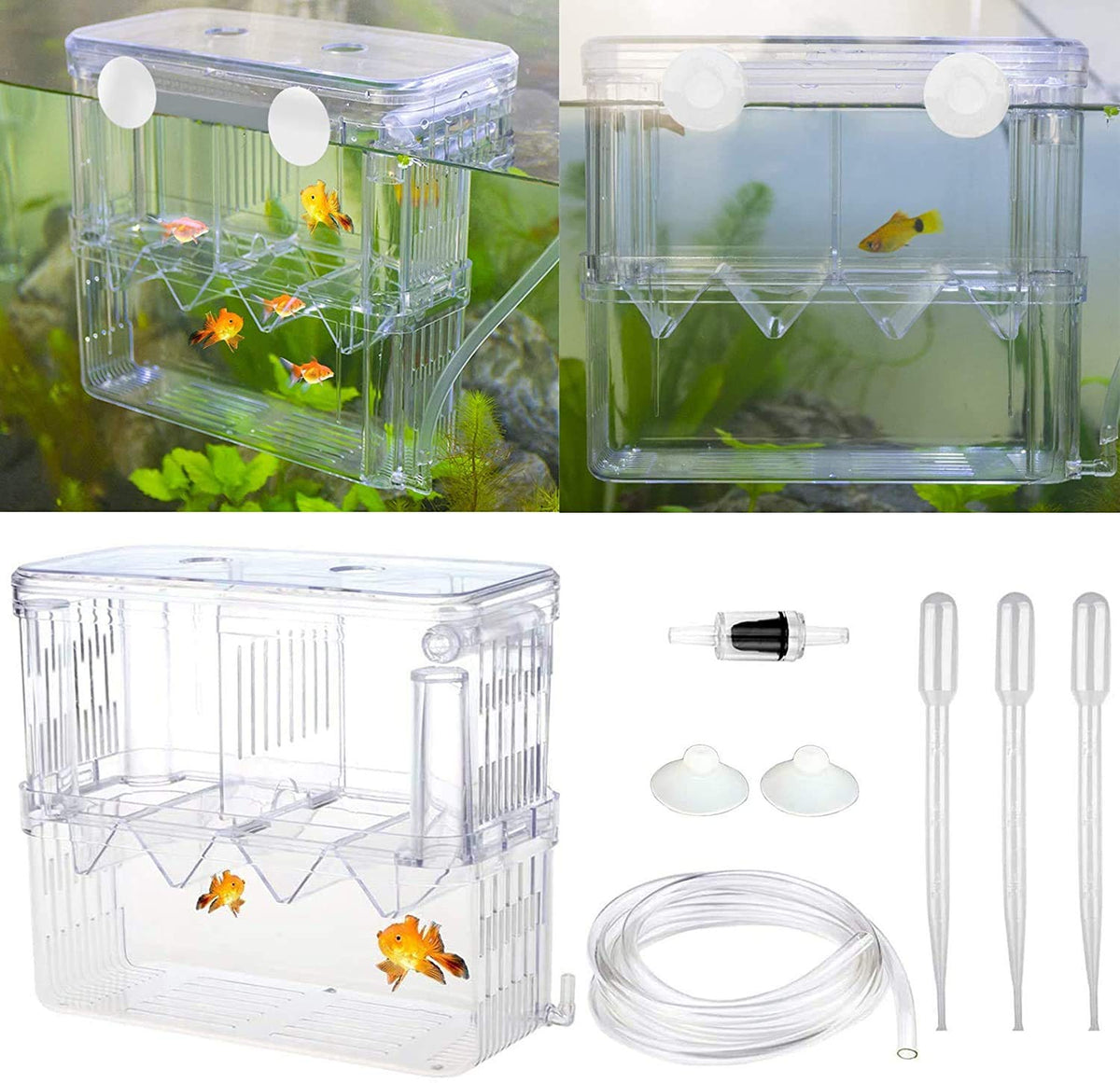 Senzeal caja de cría para acuario con aislamiento y ventosas para fijación estable.
