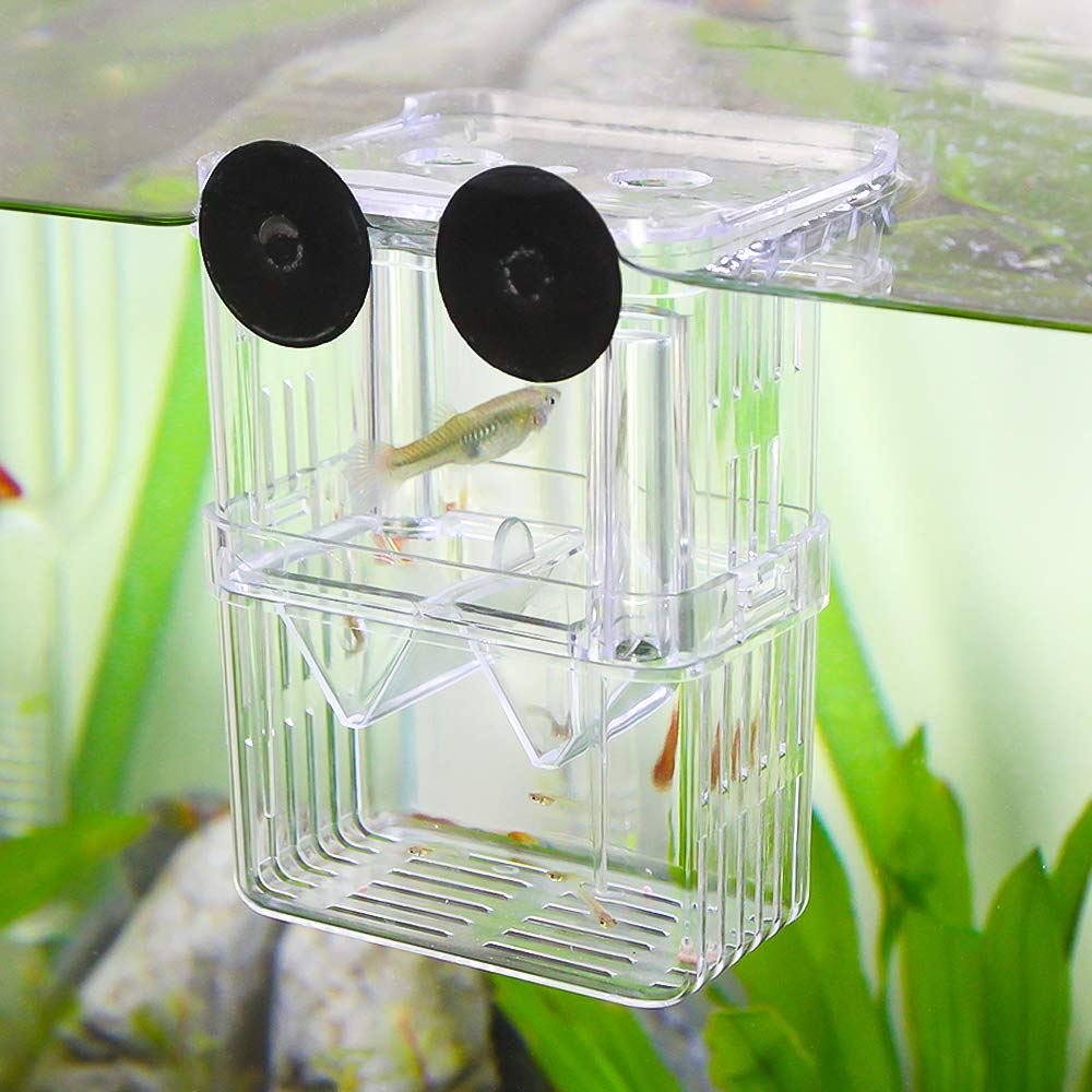 Senzeal caja criadora, uso para peces pequeños y camarones