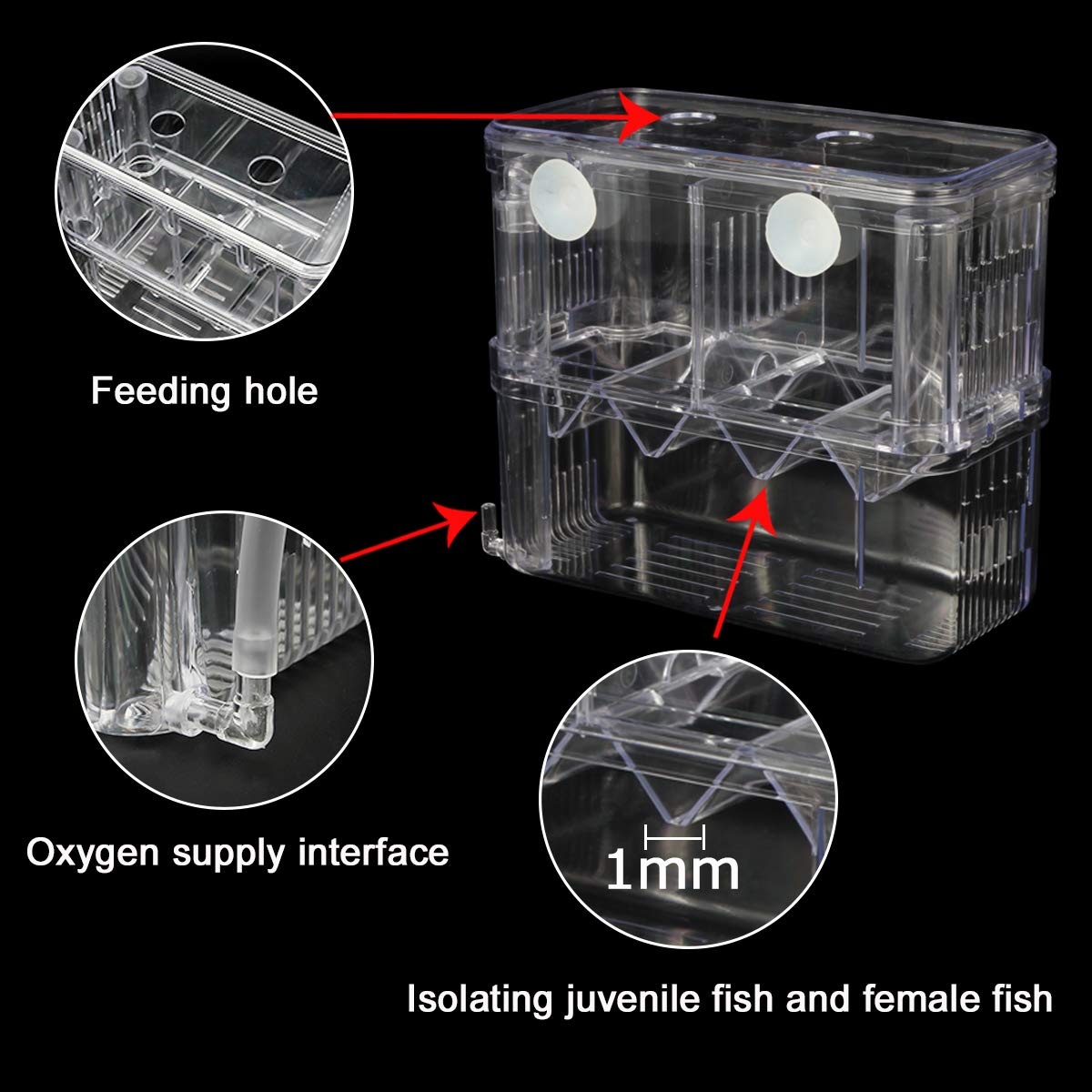 Caja de aislamiento con ventosas para fijación segura en el acuario Senzeal.