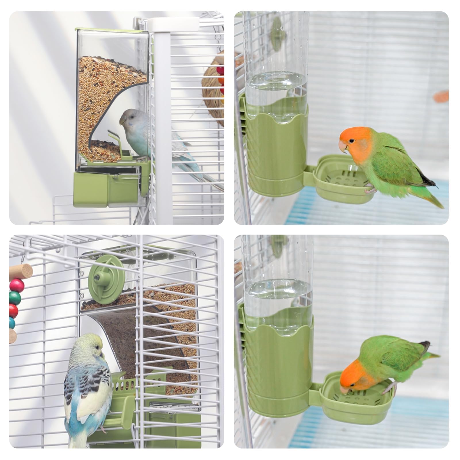 Septillar conjunto para aves pequeñas ofrece gran capacidad y limpieza sencilla