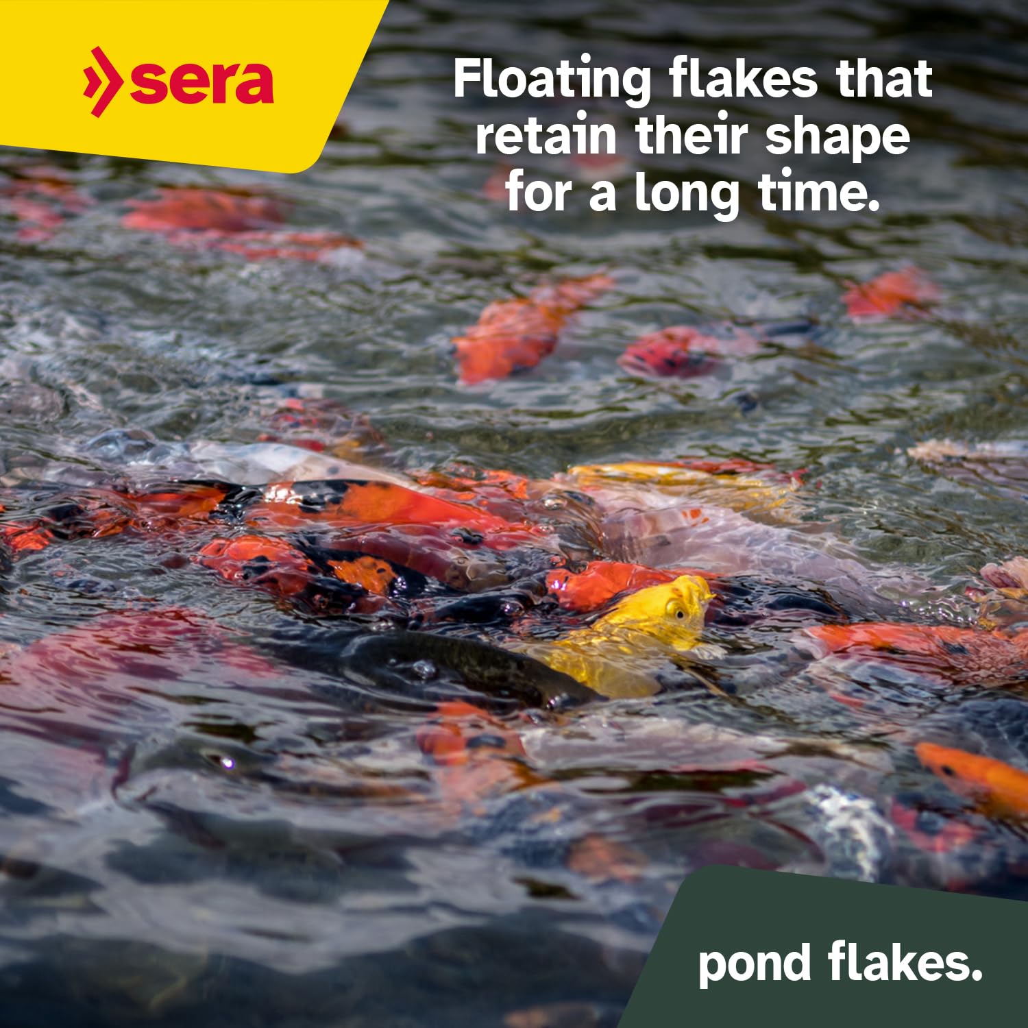 Sera Pond Flakes ingredientes puros sin colorantes ni conservantes.