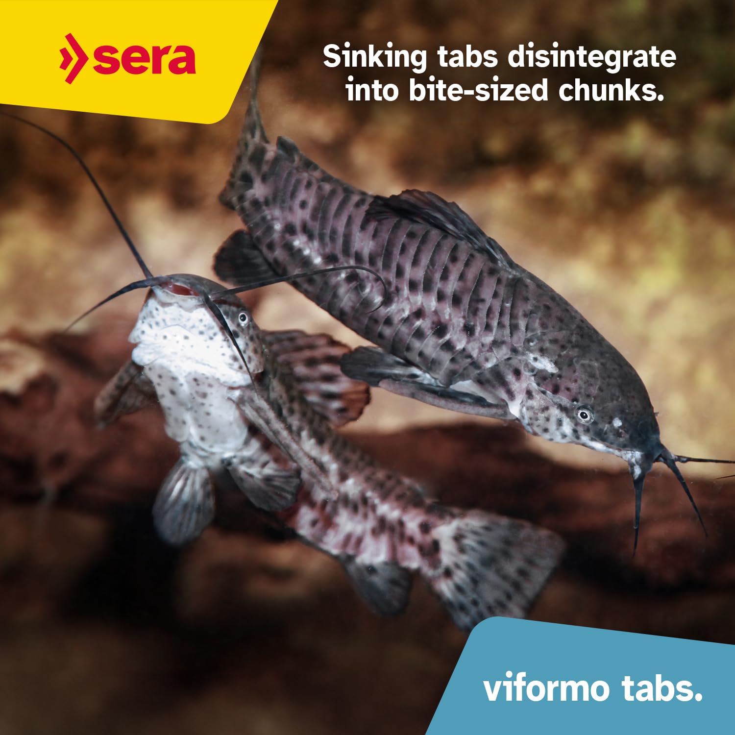 Sin aditivos artificiales, opción natural para peces de acuario.
