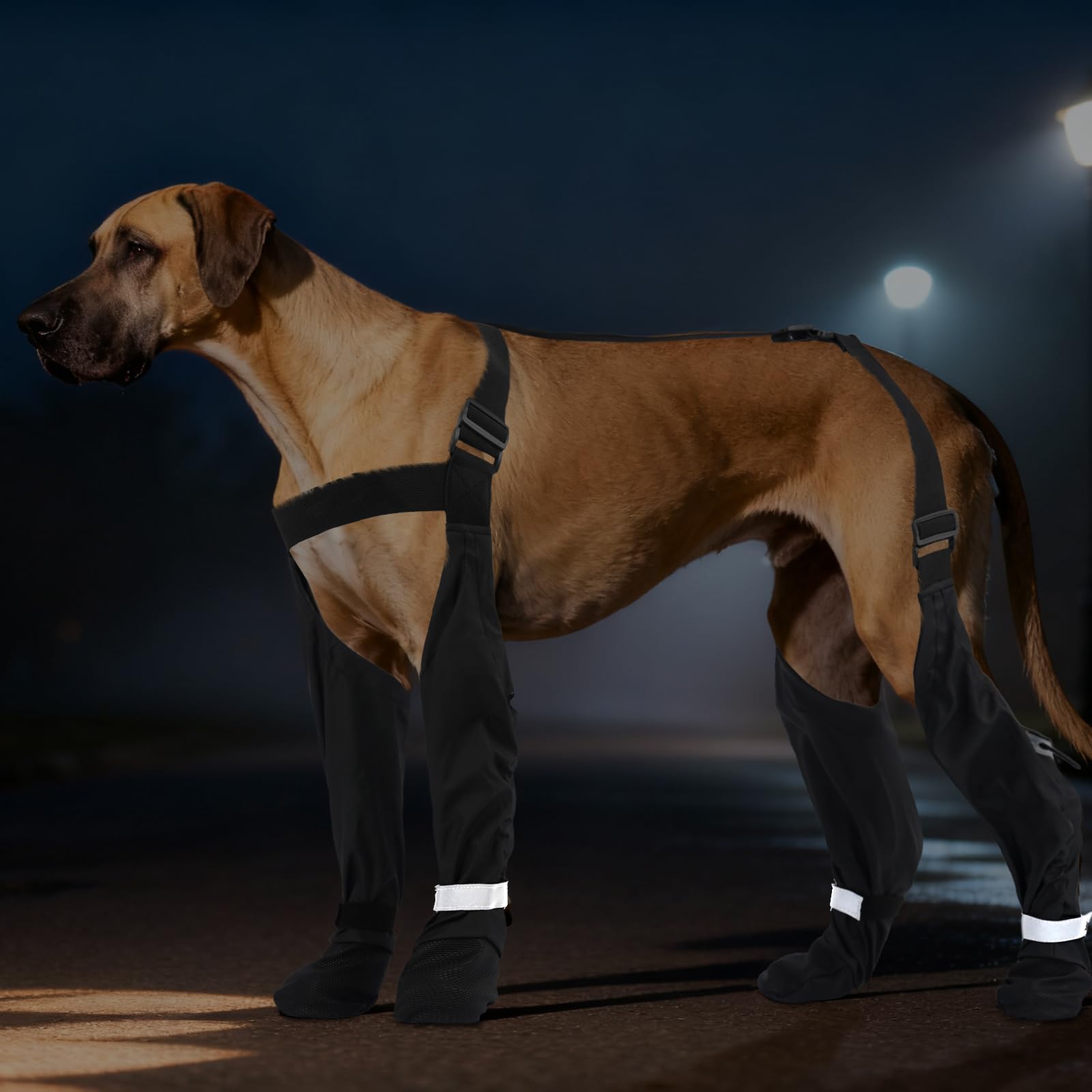 SeranPup caminata nocturna con reflectores para seguridad.
