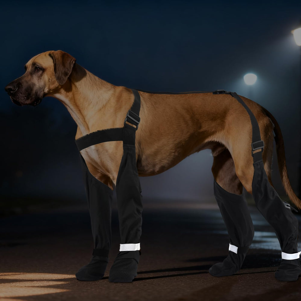 SeranPup caminata nocturna con reflectores para seguridad.