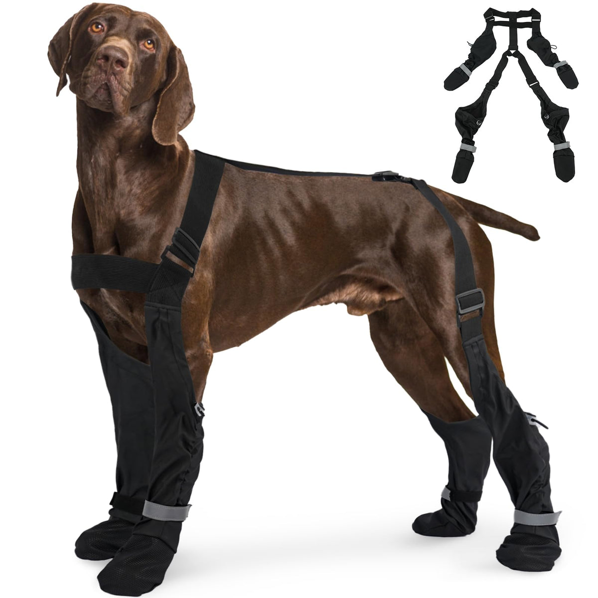SeranPup L botas para perro con suspensor, ajuste seguro para razas fuertes