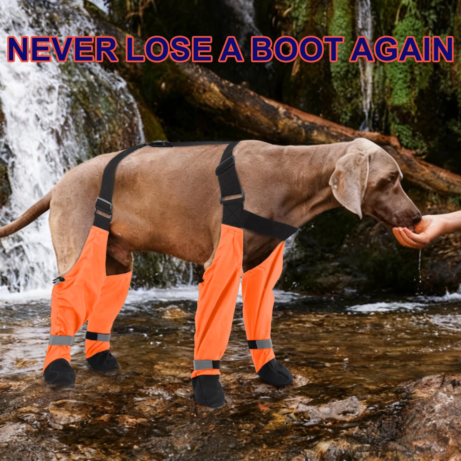 SeranPup S: botas para aventuras al aire libre en invierno