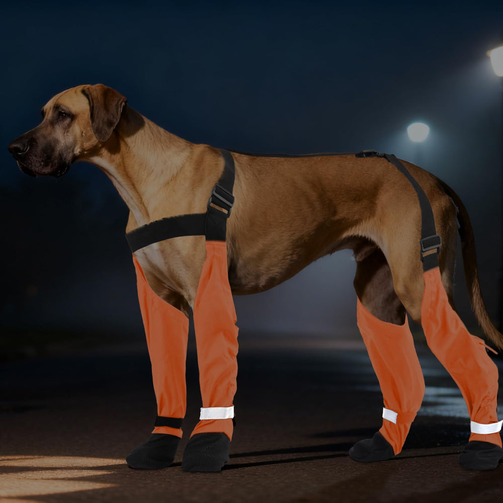 SeranPup S: tiras reflectivas para mayor visibilidad nocturna