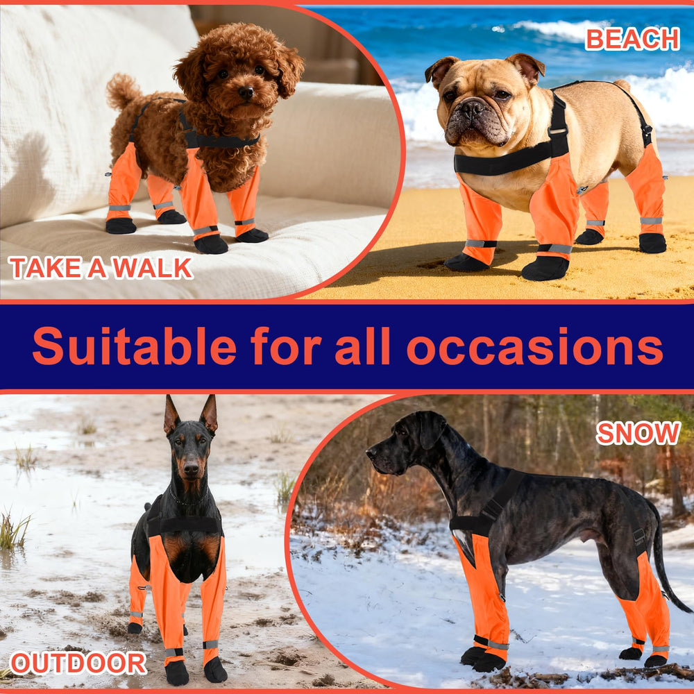 SeranPup S: protección total de patitas contra lluvia y nieve