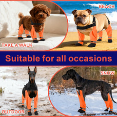 SeranPup S: protección total de patitas contra lluvia y nieve