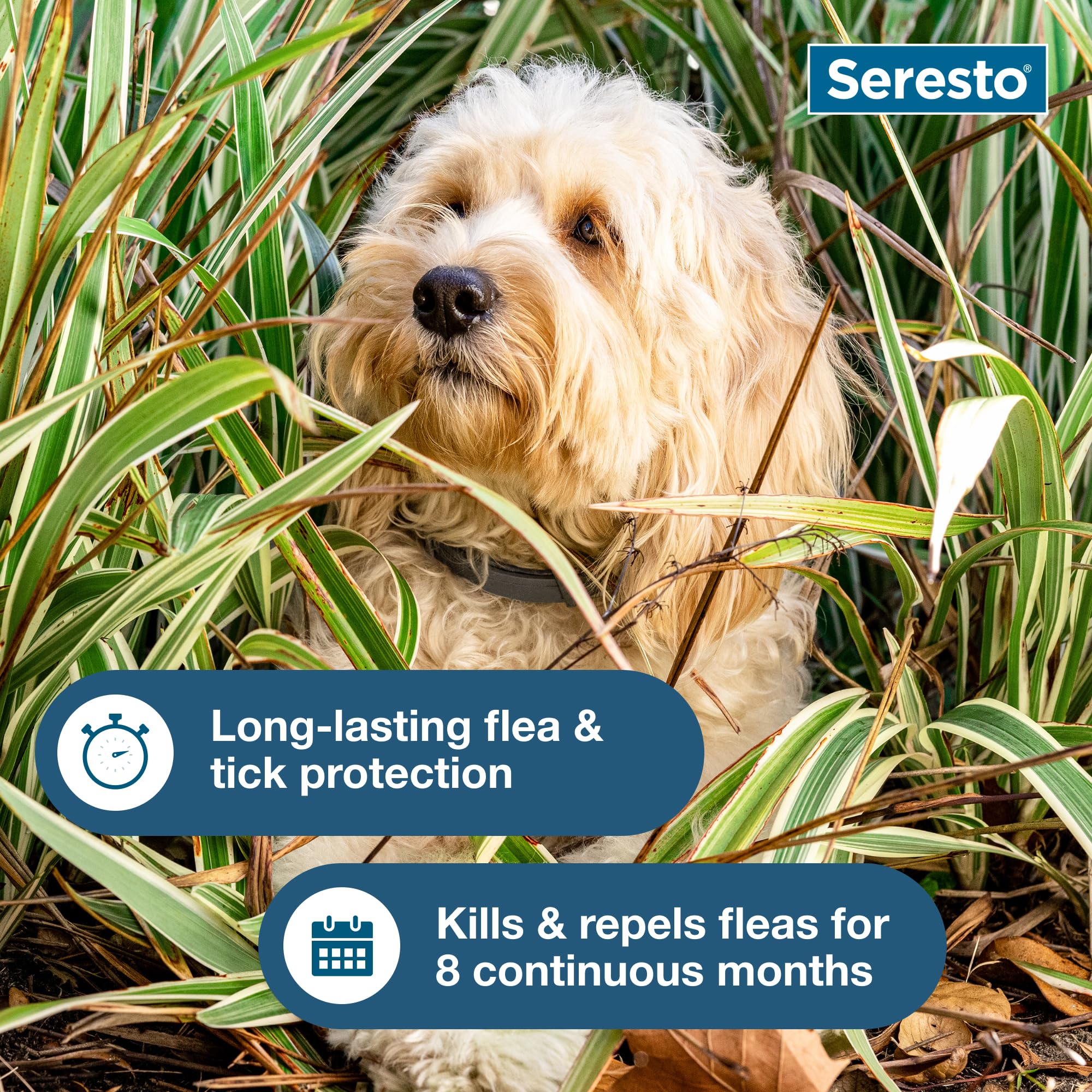 Seresto collar para perro pequeño, ofrece protección duradera de 8 meses.