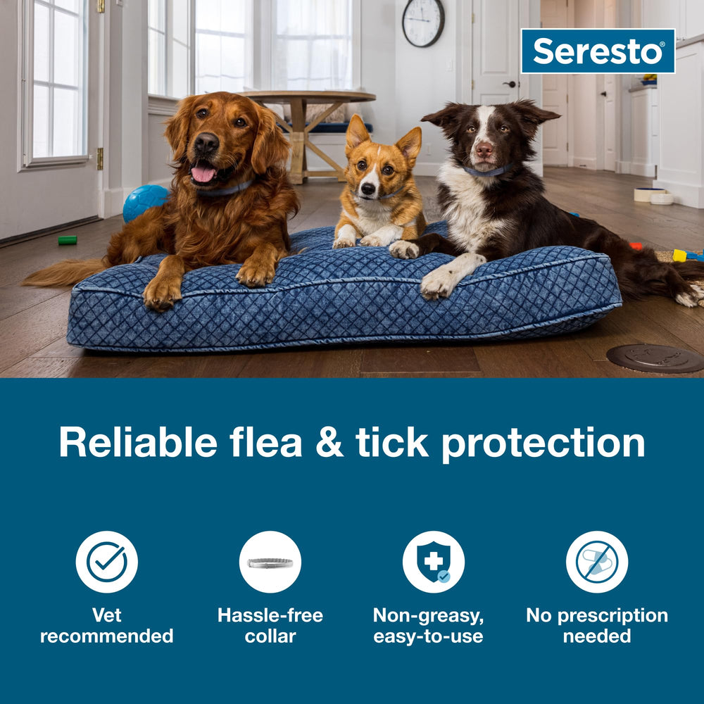 Seresto collar para perro pequeño, empaque visible, 8 meses de protección.