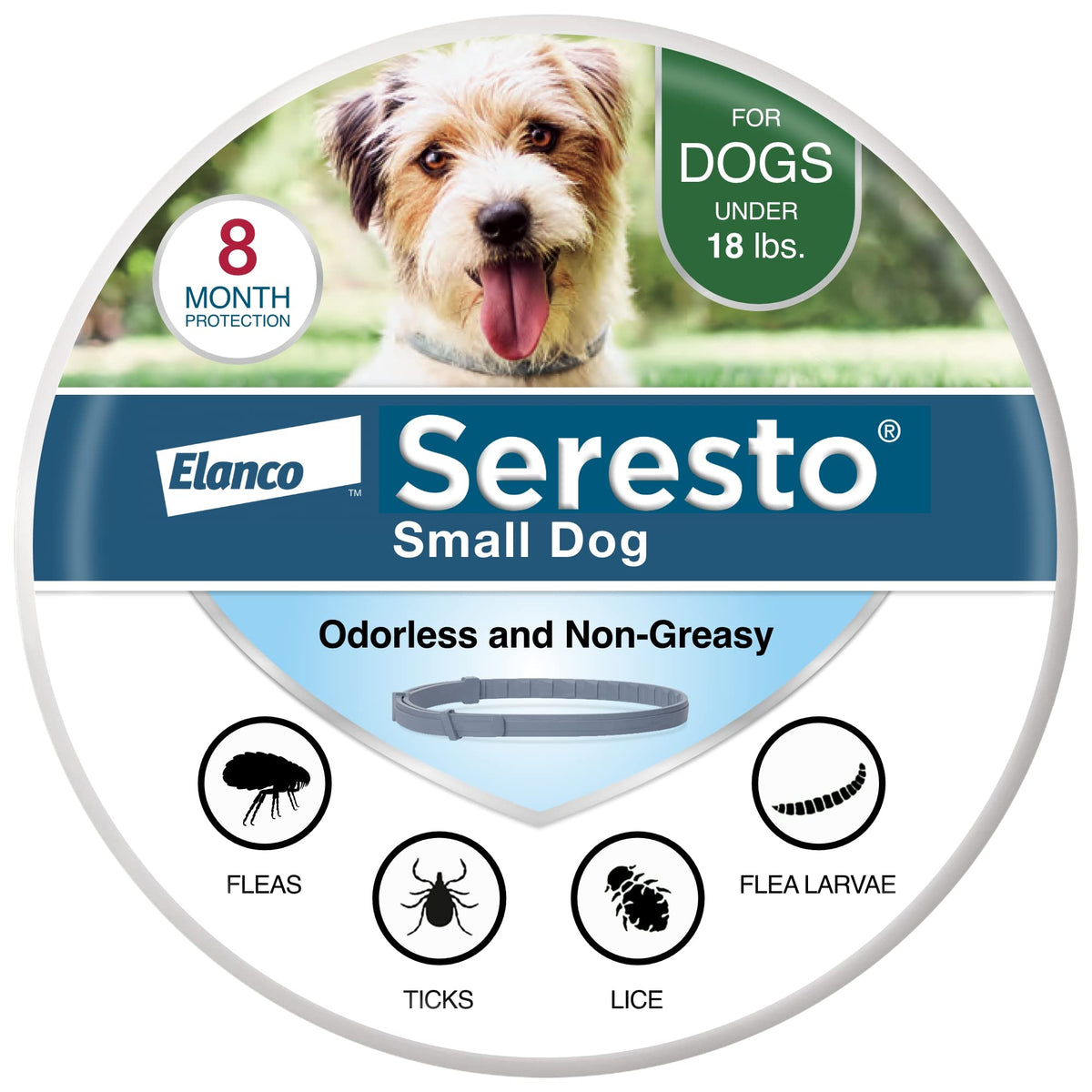 Seresto collar para perro pequeño, vista frontal, protección continua contra pulgas y garrapatas.
