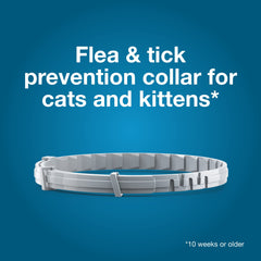 Collar Seresto ofrece ocho meses de protección contra pulgas.