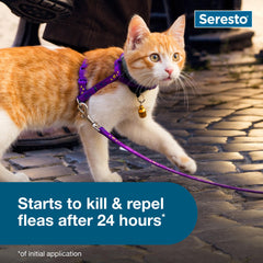 Seresto mata garrapatas en 6 horas para tranquilidad del hogar.