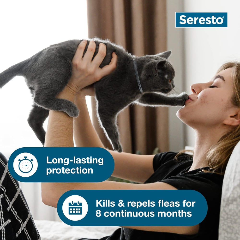 Seresto es ligero y cómodo para gatos, sin olores.