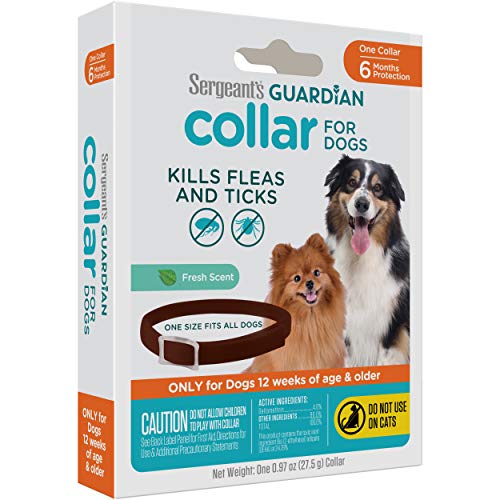 Sergeant's Guardian collar, solución confiable para la rutina de paseo junto a su perro.