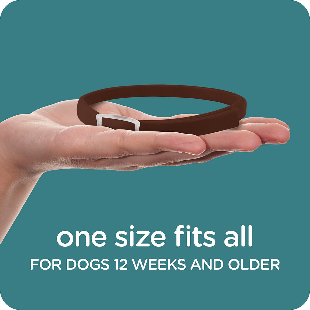 Sergeant's Guardian collar, uso diario recomendado para una protección continua.