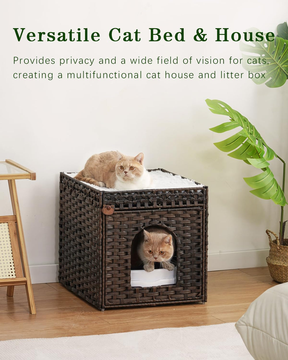 SETVSON sala-estar-uso-diario-cama-gato refugio cómodo en sala