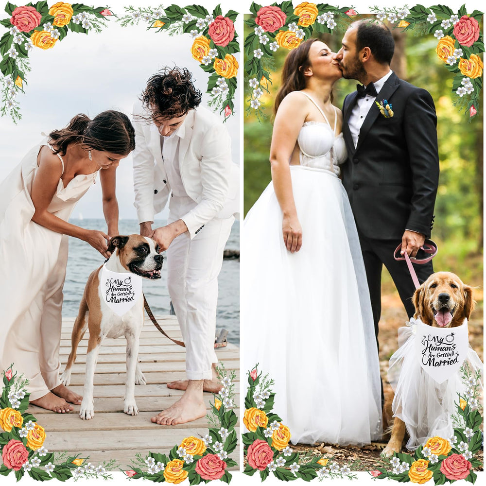 Ambiente romántico de boda con perro usando Seyezo.