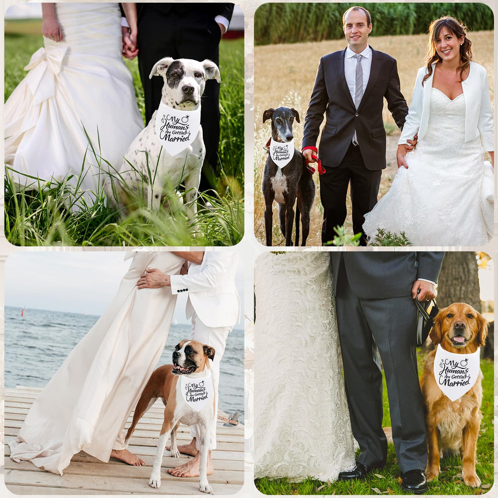 Cuidado sencillo: lavado a máquina permitido para la bandana.