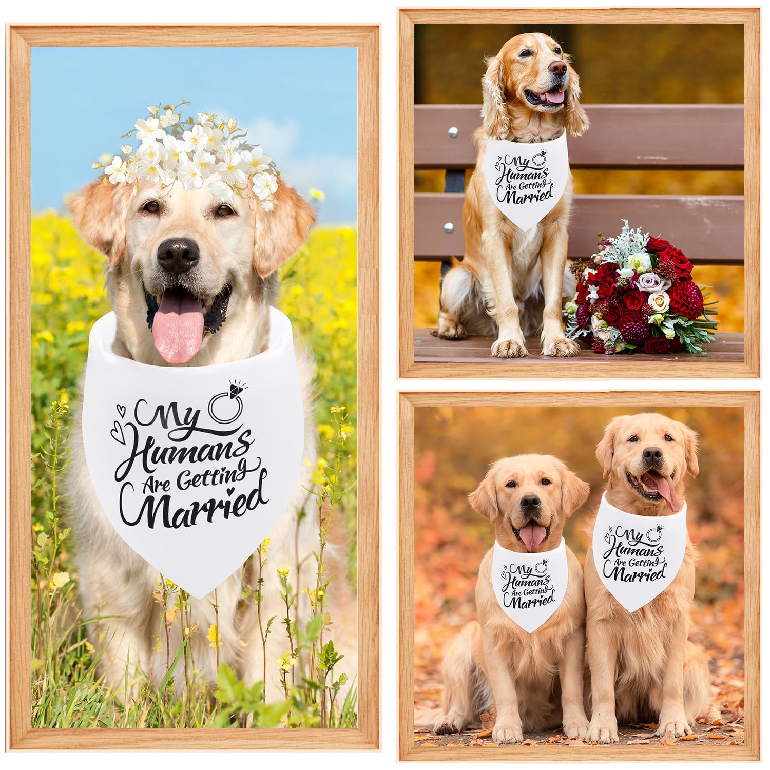 Regalo ideal para bodas de perros con Seyezo.