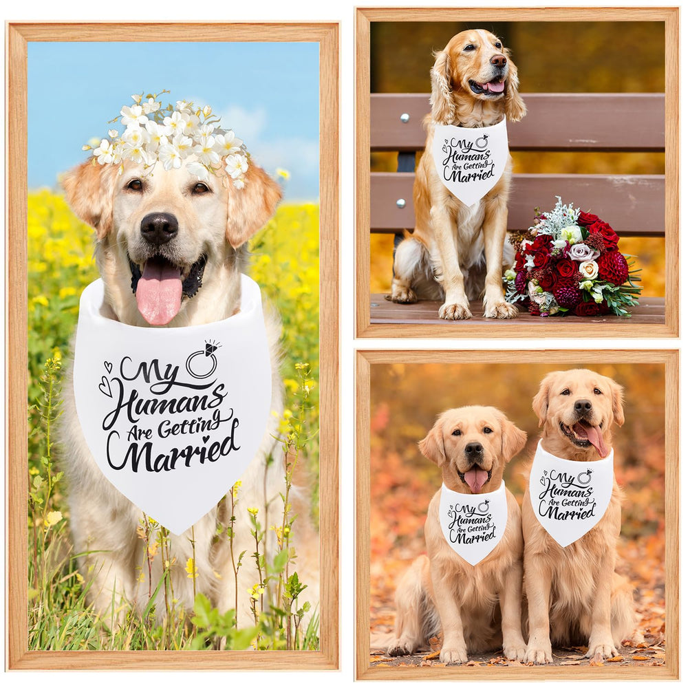 Regalo ideal para bodas de perros con Seyezo.