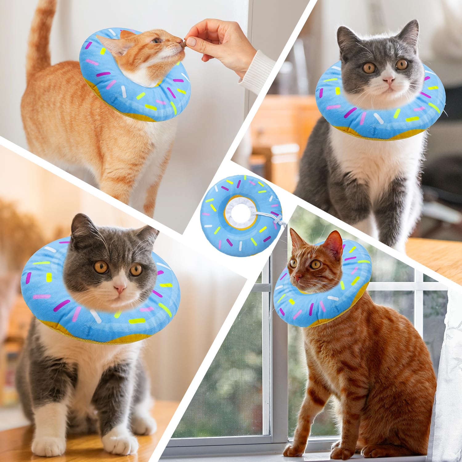 Seyezo donut azul cono, patrón divertido para gatos